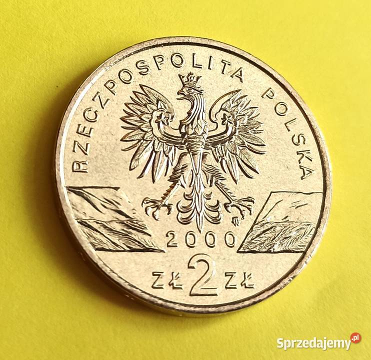 2 2000 r Dudek Wrocław sprzedam