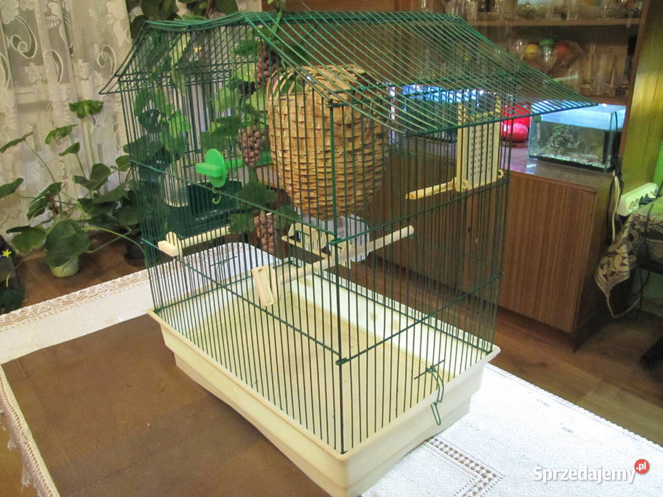 Klatka ptaków kujawsko-pomorskie Toruń sprzedam