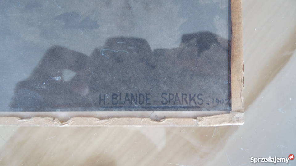 Grafiki reprinty ponad stuletnie Blande Sparks Antyki Antyki, Sztuka, Kolekcje Radzewice sprzedam