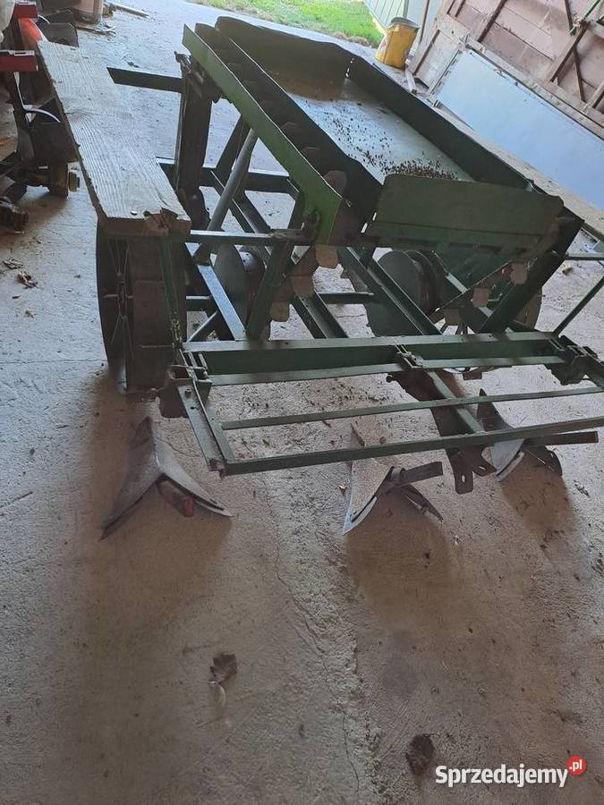 Sadzarka podkarpackie Kolbuszowa