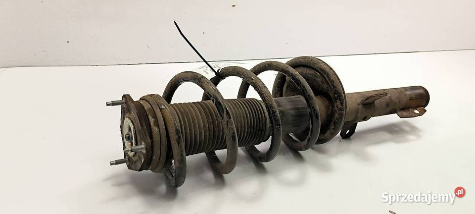 AMORTYZATOR LEWY PRZÓD FORD TRANSIT CUSTOM L1H1 Lipno