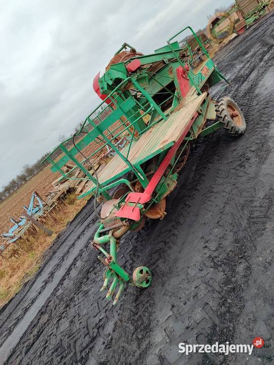 Kombajn ziemniaczany do ziemniaków hassia Paprotnia
