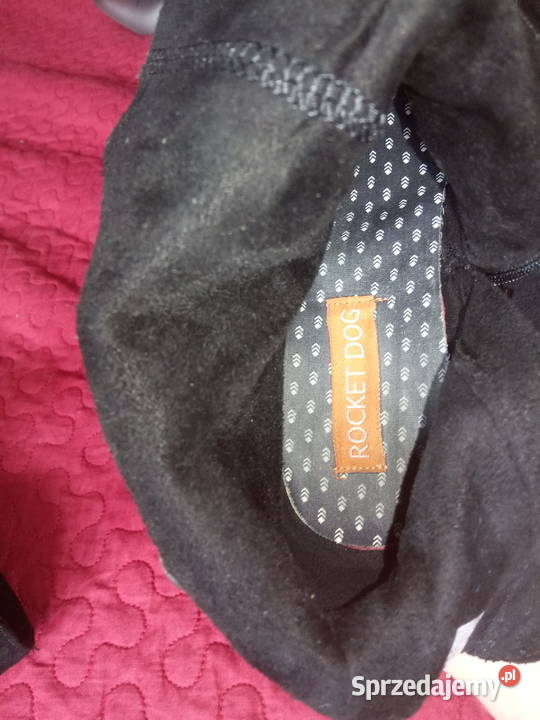 Kozaki kostkę Rocket Dog Warszawa