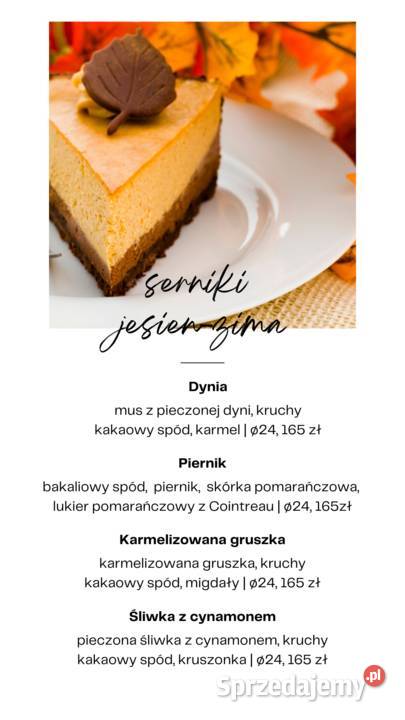 Serniki Catering i gastronomia dolnośląskie Wrocław