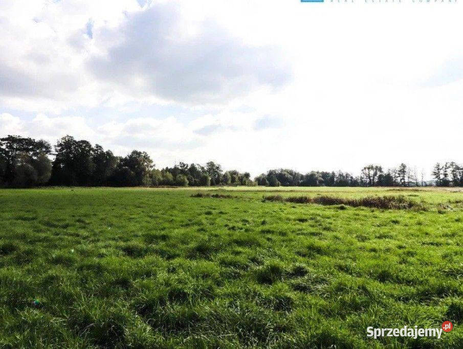 Cholerzyn działki budowlane 165 ara 0m sprzedam