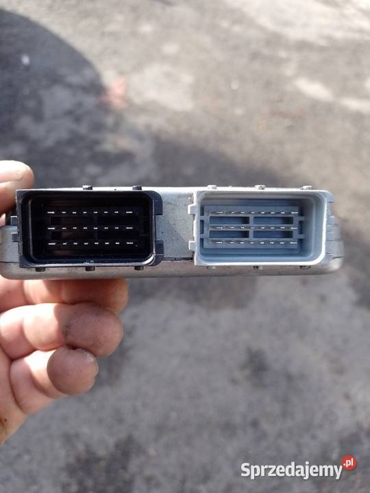 Sterownik gazu Diego komputer gazu osobowe Siemiechów