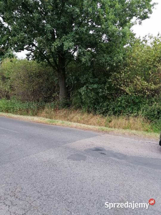 Syndyk sprzeda udział 16 w działkach Jędrzejów Sprzedaż Jędrzejów Nowy sprzedam