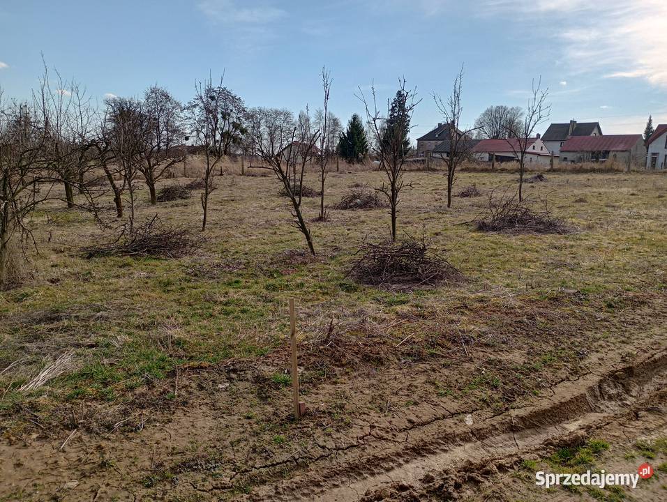 Działka budowlana Brochocin gmina Trzebnica