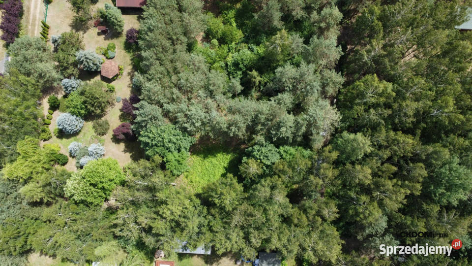 Działka z lasem na wyłączność aglomeracji 34.5m Młódnice