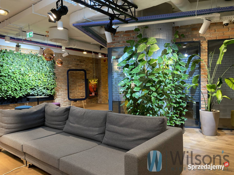 Wynajmę lokal Warszawa 30m2