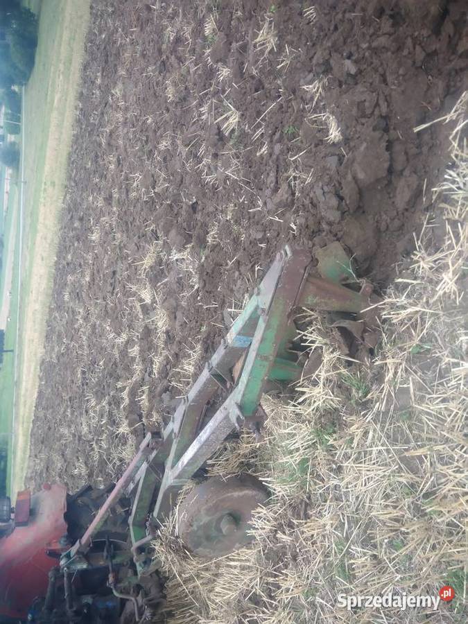 Pług 5 skibowy podorywkowy Waśniów