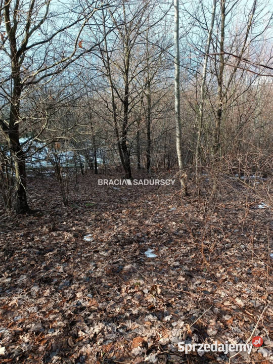 sprzedaży działki 9900m2 Czarnochowice