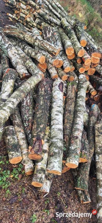 Wynmina na wszelki ZłOM Drewno Opałowe kujawsko-pomorskie