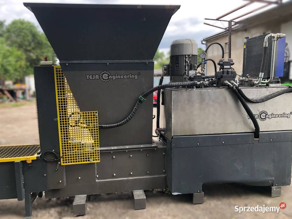 Belownica paczkarka kujawsko-pomorskie Sośno