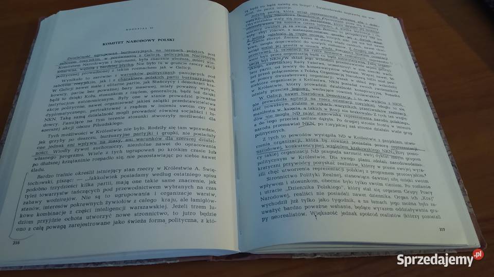 Polskie stronnictwa burżuazyjne Galicji Śląska sprzedam