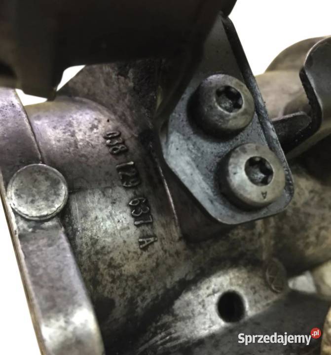 ZAWÓR EGR AUDI A4 B6 A6 C5 VW PASSAT B5 FL 19 Działoszyce