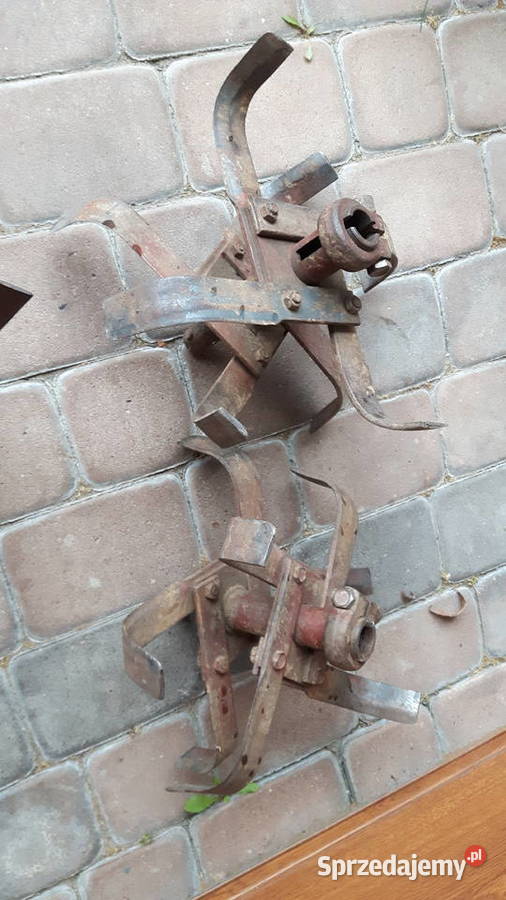 glebogryzarka Fortschritt traktorek dzik ciągnik Garwolin