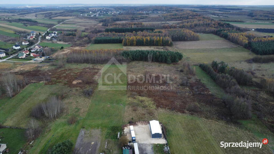 Działka 6500 m2 w Łukowej gm Chęciny Sprzedaż