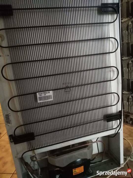 Lodowka wolnostojące Puławy