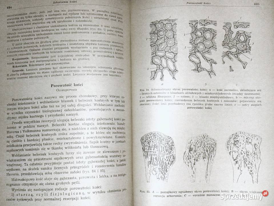 Chirurgia ogólna zwierzat domowych B Oliwkow Książki i Podręczniki Chełm