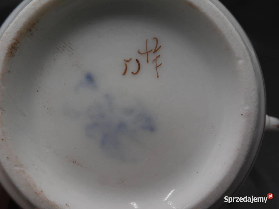 Filiżanka wiekowa porcelanowa CT Altwasser Porcelana i szkło Raszków