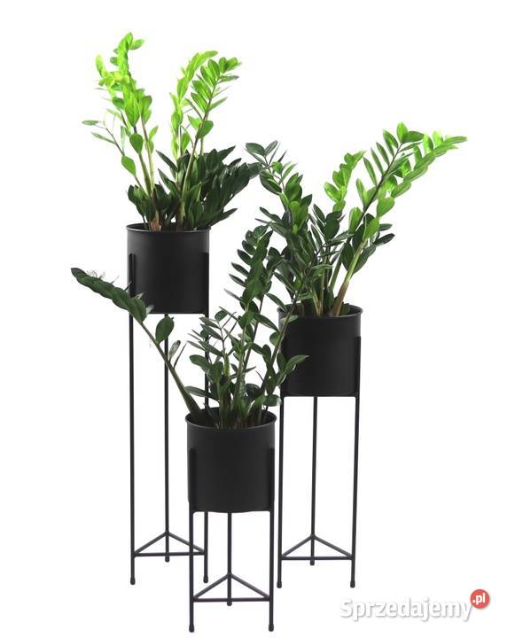 Kwietnik Metalowy Stojak na kwiaty z donicą 70 Dekoracje i ozdoby Sobienie-Jeziory