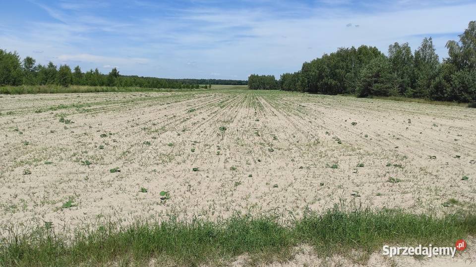 Grunty rolne ok 5 ha Sławacinek Stary gm Biała rolna