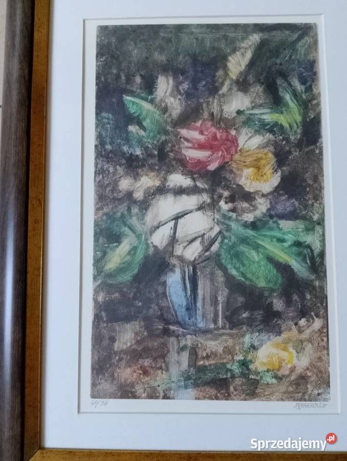 Litografia barwna małopolskie Rabka-Zdrój