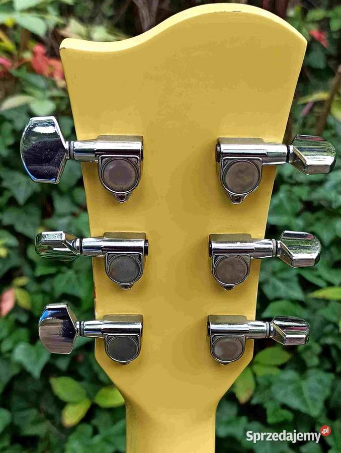 Gitara akustyczna Richwood RG15CYS Tuszyn