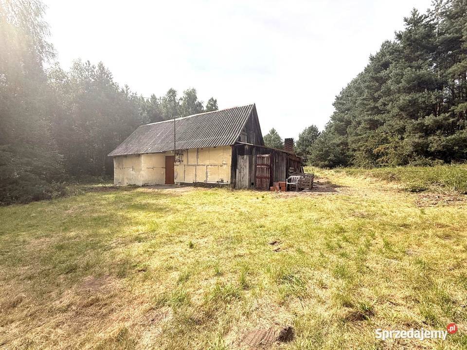 Sprzedam Sprzedaż Przybyłów sprzedam