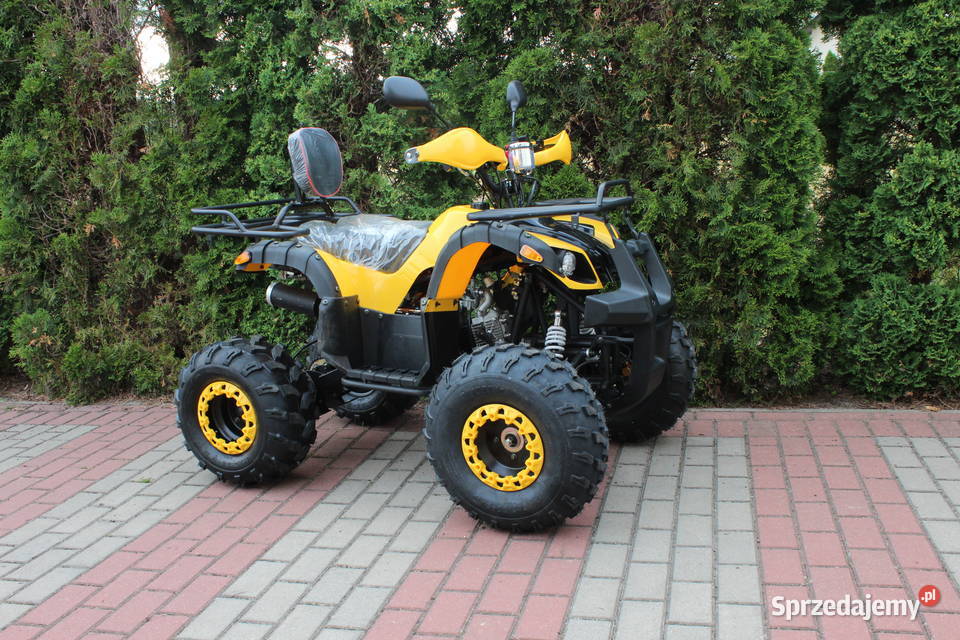 Quad HAMMER 125 cc półautomat 31 kierunkowskazy Goleniów