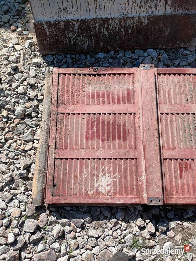 Podsiewacz Massey Ferguson świętokrzyskie