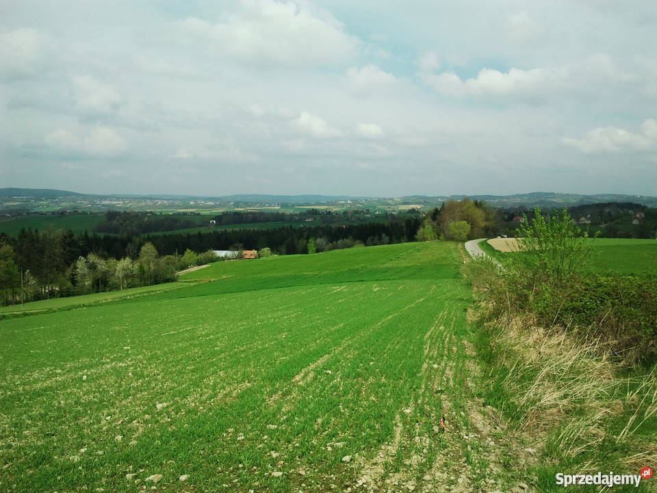 Działka budowlana 100a na sprzedaż gaz Bełdno