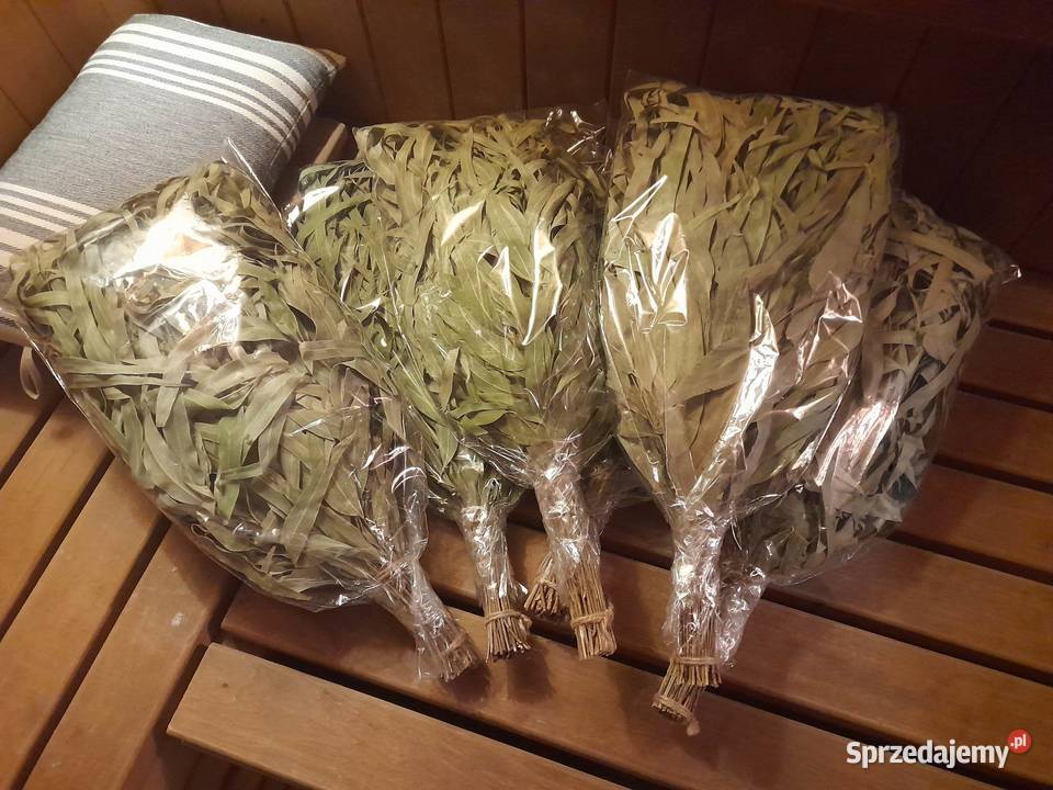 Eukalyptusbltter Schneebesen EUKALIPTUSOWE Witki mazowieckie