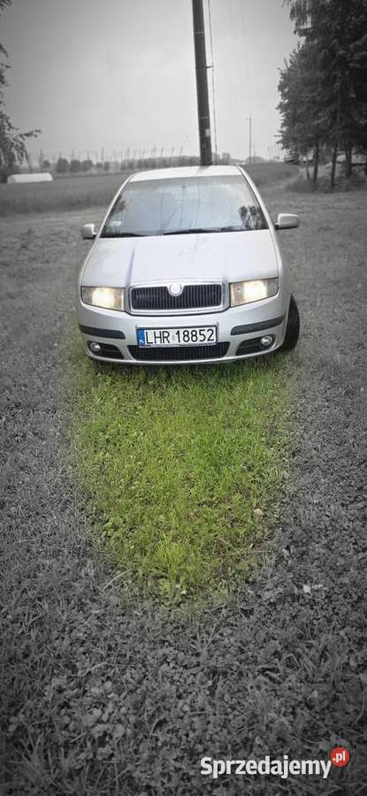 Skoda fabia 2007 19 tdi 101 zadbana Świerszczów
