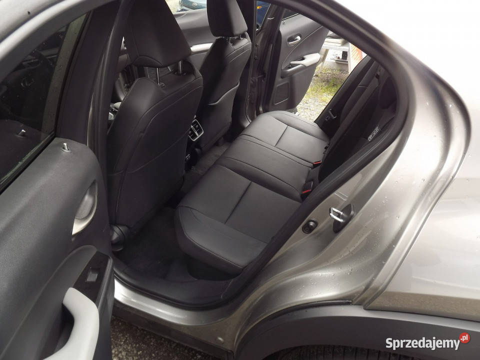 Lexus UX złoty Janów Lubelski