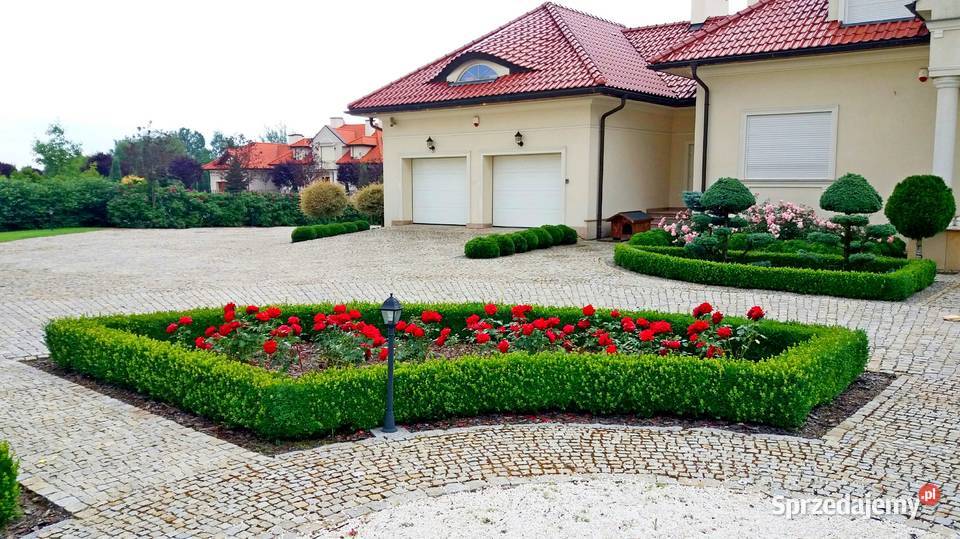 PROJEKTOWANIE I ZAKŁADANIE OGRODÓW GREEN POINT Kielce