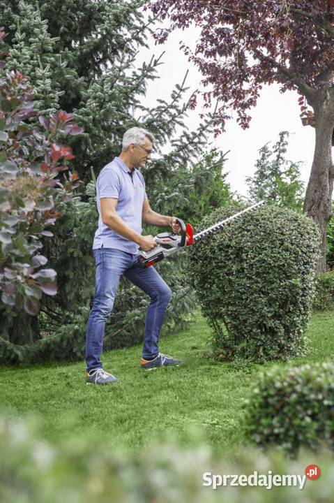 Nożyce do żywopłotu ALKO HT 4055 Li Energy Flex Nożyce i sekatory Tajęcina sprzedam