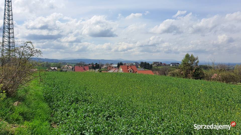 Pole rolne 77 a Siedlec sprzedam