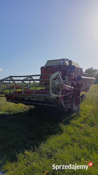 Kombajn zbożowy International 431 Zbożowe lubelskie Hosznia Abramowska