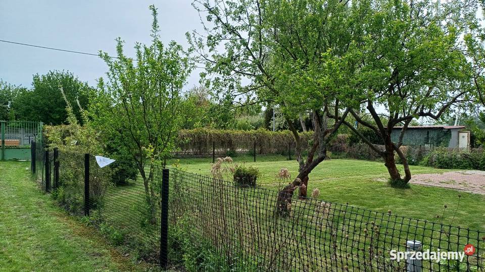 Rodzinne Ogródki Działkowe Sprzedaż mazowieckie Warszawa