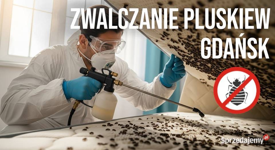 Zwalczanie pluskiew Gdańsk Odpluskwianie