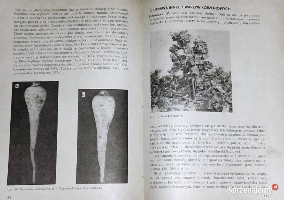 Warzywnictwo M Lityński H Nieć Chełm