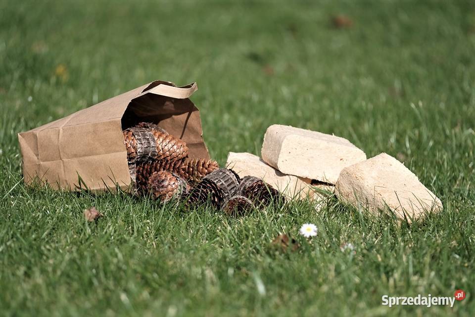 Najwyższa jakość Groszek Plus Sztygar Ultra Stare Czarnowo