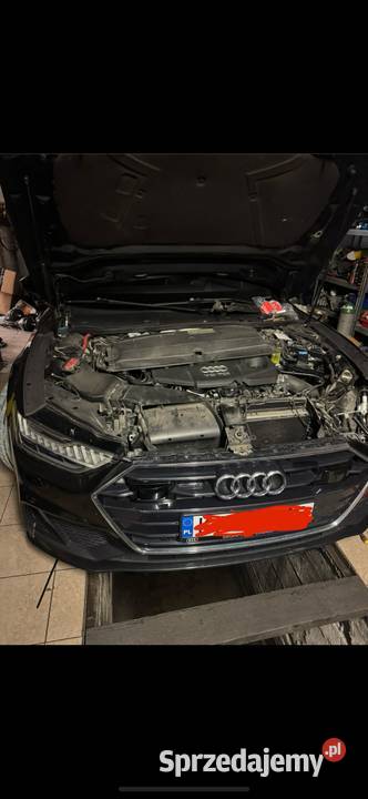 Usunięcie ADBLU SCR CRT 30 Tdi v6 20 Tdi osobowe Bystra Podhalańska