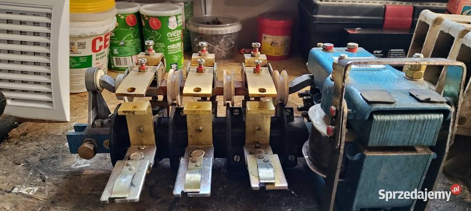 Sprzedam Styczniki Różan sprzedam