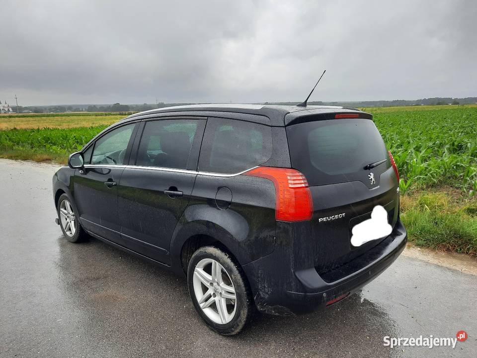 Peugeot 5008 Peugeot świętokrzyskie Moskorzew