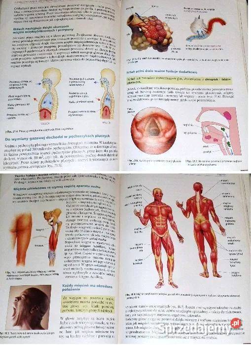 Ciekawa biologia Cz2 Ewa Kłos W Kofta Pozostałe Chełm