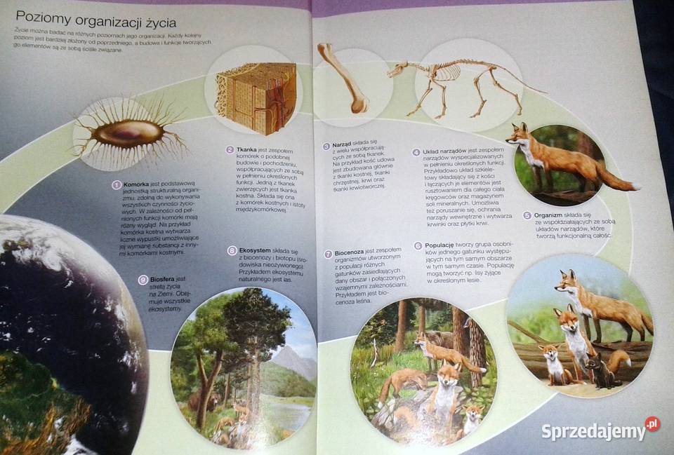 Biologia na czasie Emilia Bonar S Czachorowski Chełm