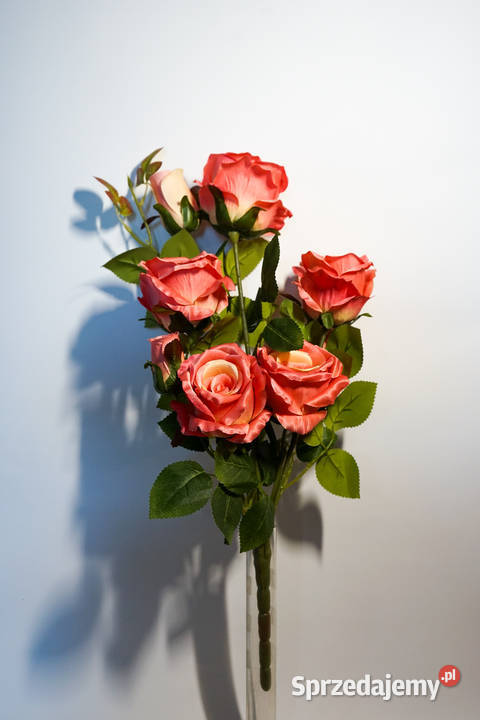 Bukiet róż w kolorze herbacianego różu Częstochowa